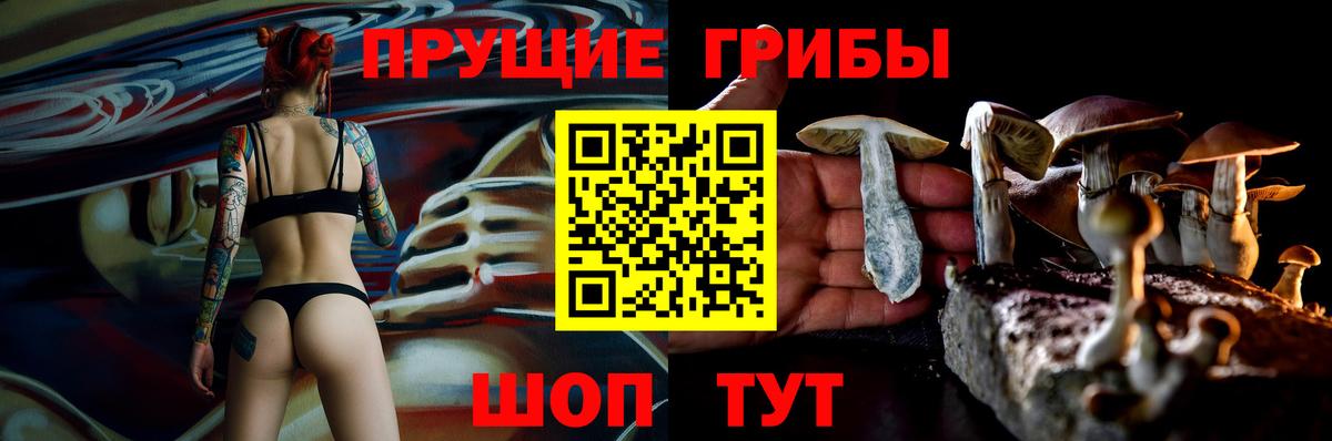 Амурск  Псилоцибиновые грибы Cubensis  Вход с VPN  Псилоцибиновые грибы ЛСД 